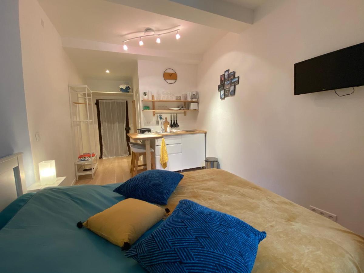 Studio très agréable proche de Auron Saint-Étienne-de-Tinée Extérieur photo